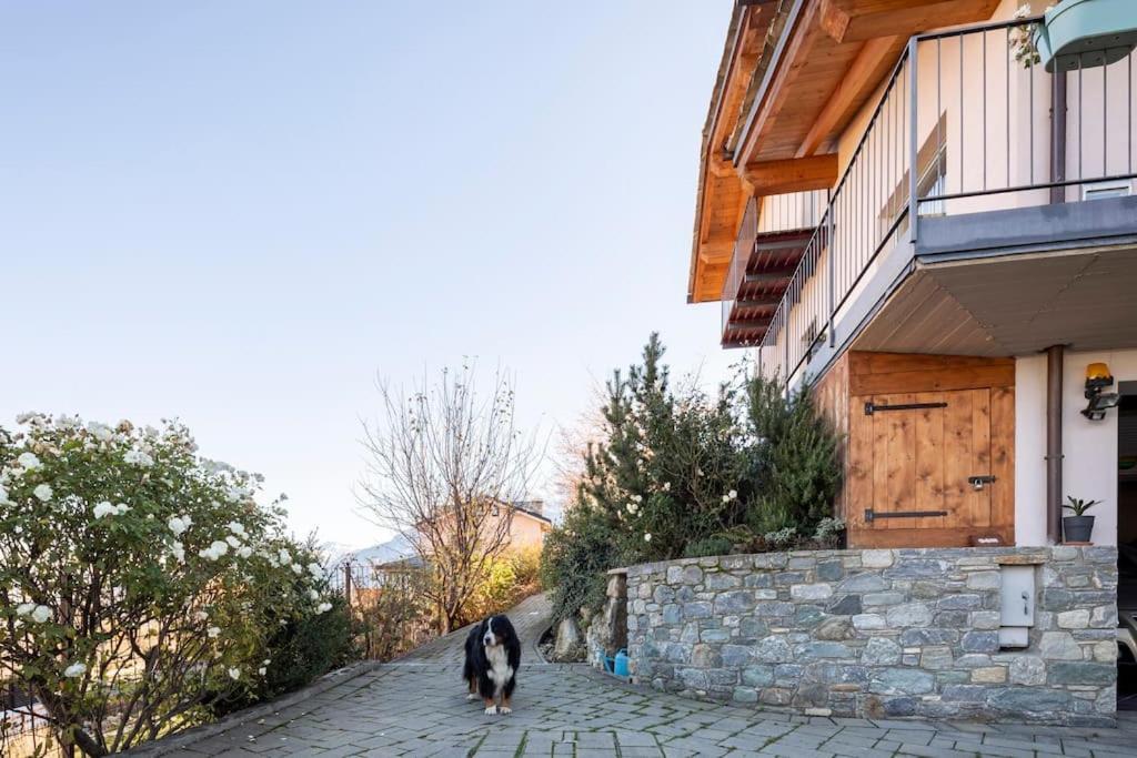 B&B Ambrosia Aosta Ngoại thất bức ảnh